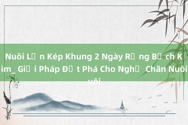 Nuôi Lợn Kép Khung 2 Ngày Rộng Bạch Kim_ Giải Pháp Đột Phá Cho Nghề Chăn Nuôi