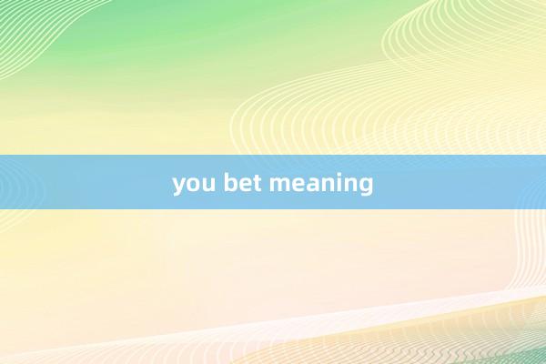 you bet meaning