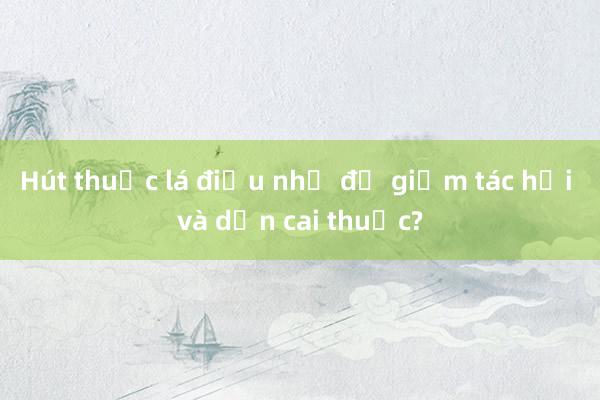 Hút thuốc lá điếu nhỏ để giảm tác hại và dần cai thuốc?